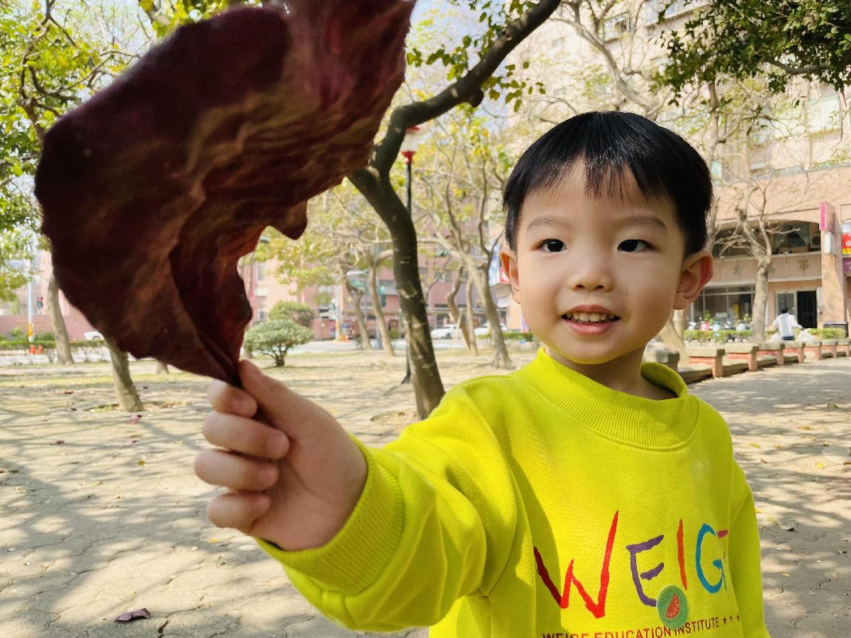 ★戶外公園「公十一公園