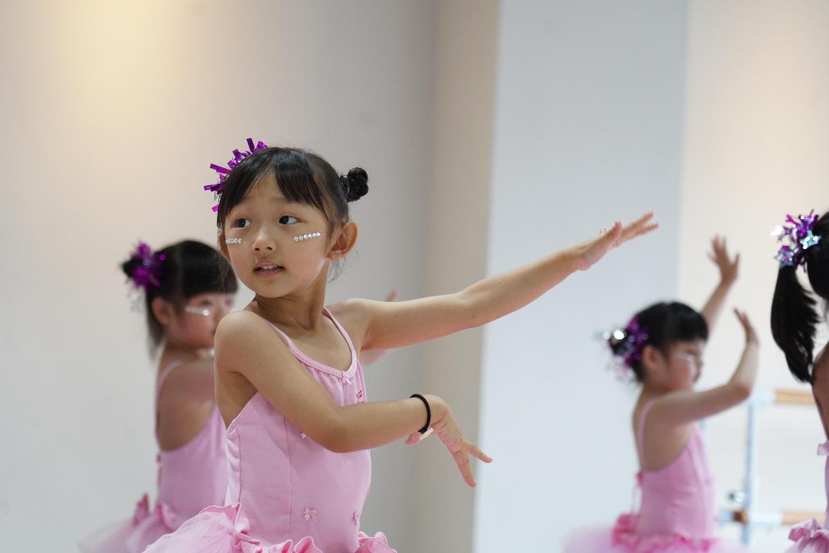 dsc00684 dsc00684