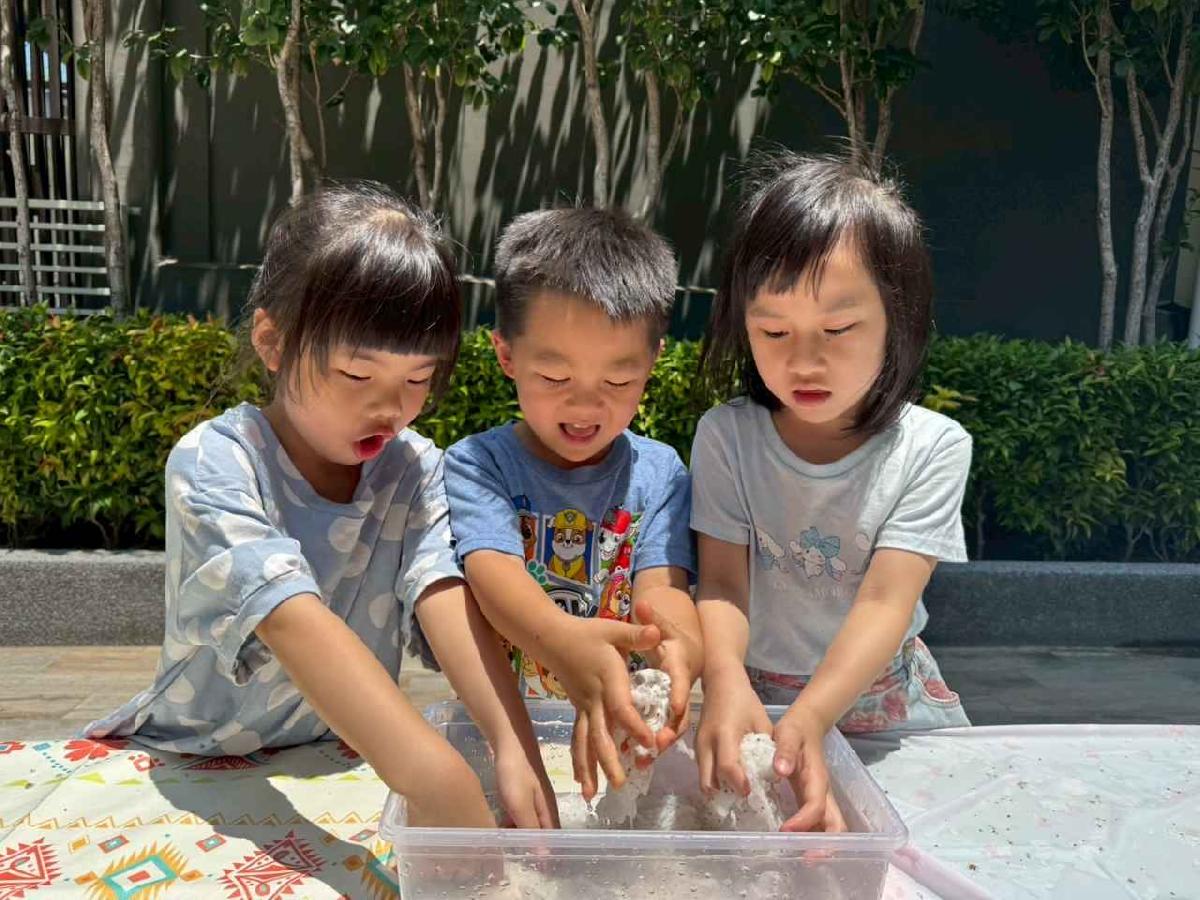 line_album_種植奇亞籽_250423_331 line_album_種植奇亞籽_250423_331