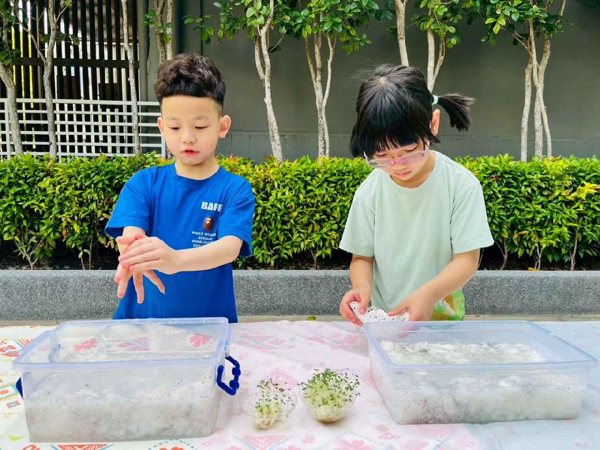 line_album_種植奇亞籽_250423_6 line_album_種植奇亞籽_250423_6