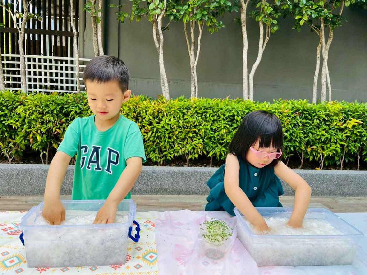 line_album_種植奇亞籽_250423_13 line_album_種植奇亞籽_250423_13