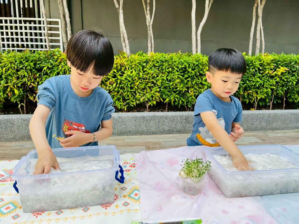 line_album_種植奇亞籽_250423_17 line_album_種植奇亞籽_250423_17