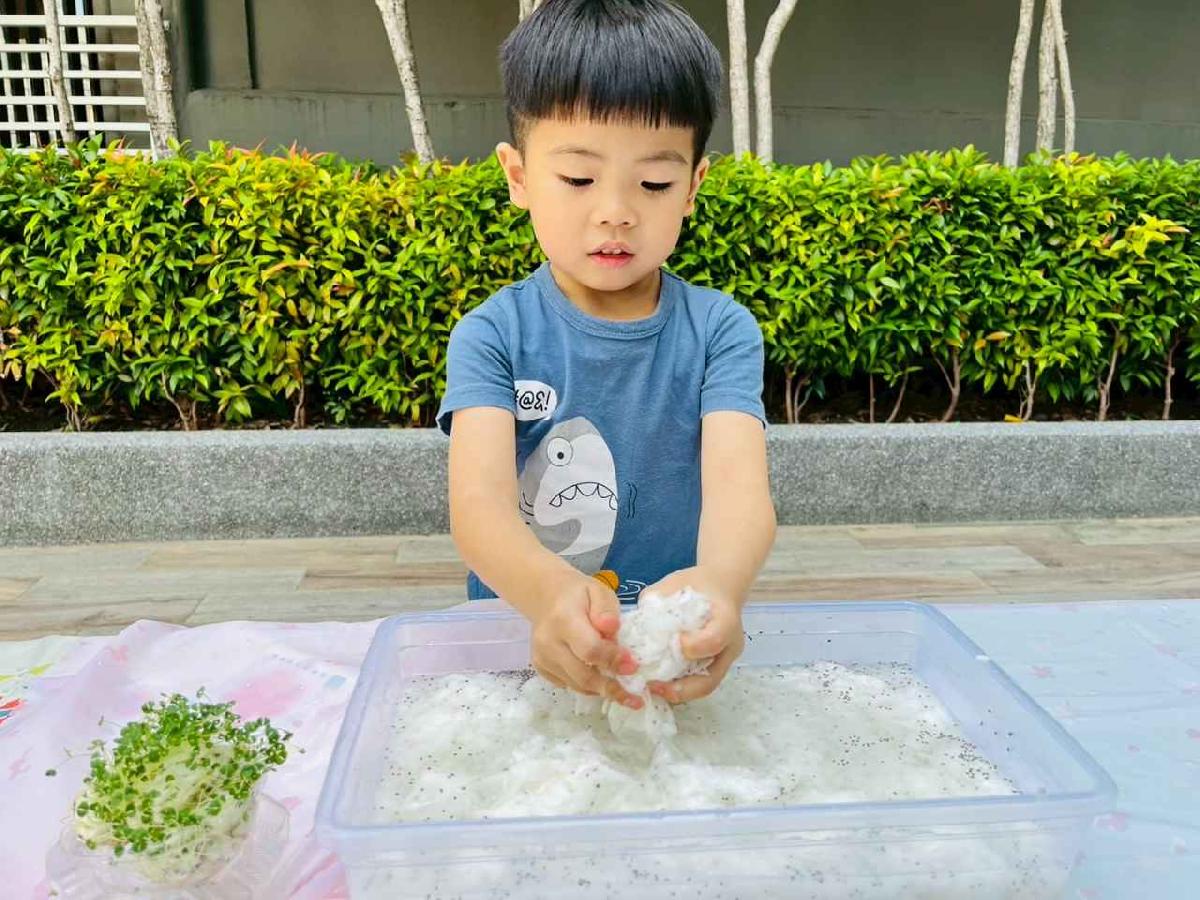 line_album_種植奇亞籽_250423_22 line_album_種植奇亞籽_250423_22