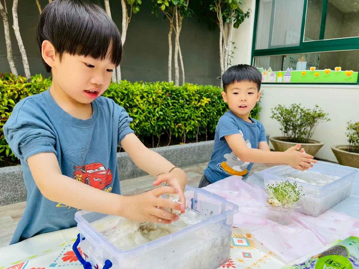 line_album_種植奇亞籽_250423_24 line_album_種植奇亞籽_250423_24