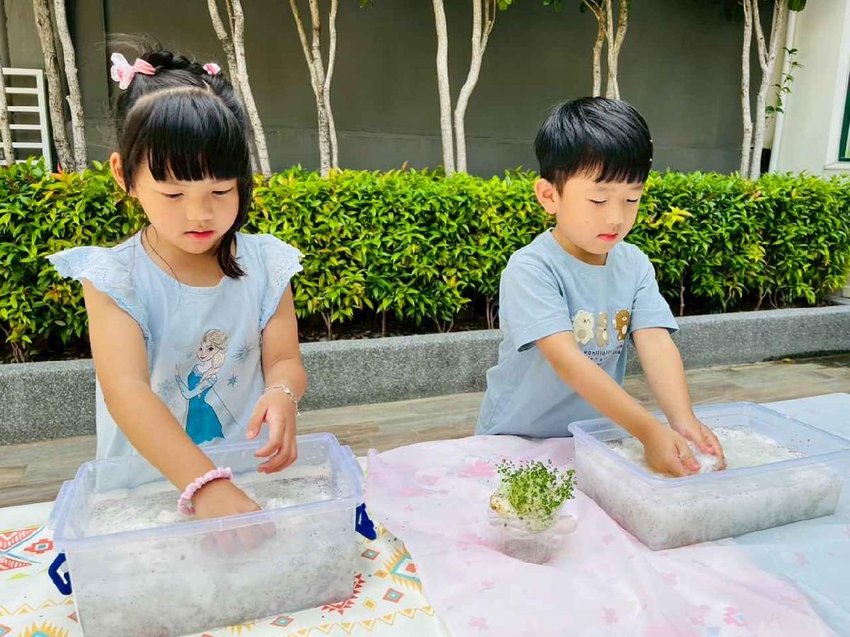 line_album_種植奇亞籽_250423_34 line_album_種植奇亞籽_250423_34