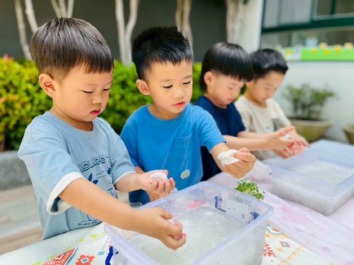 line_album_種植奇亞籽_250423_40 line_album_種植奇亞籽_250423_40