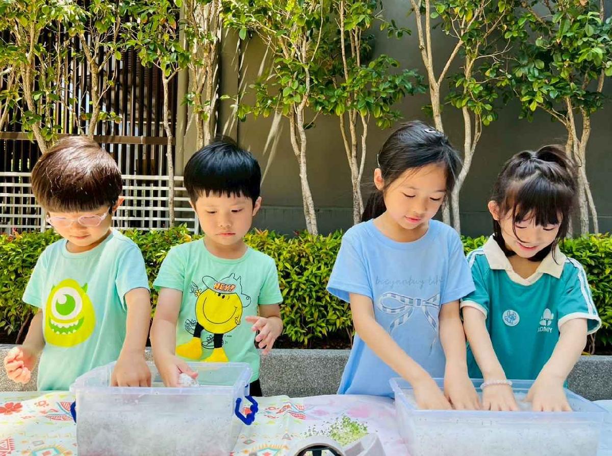 line_album_種植奇亞籽_250423_51 line_album_種植奇亞籽_250423_51