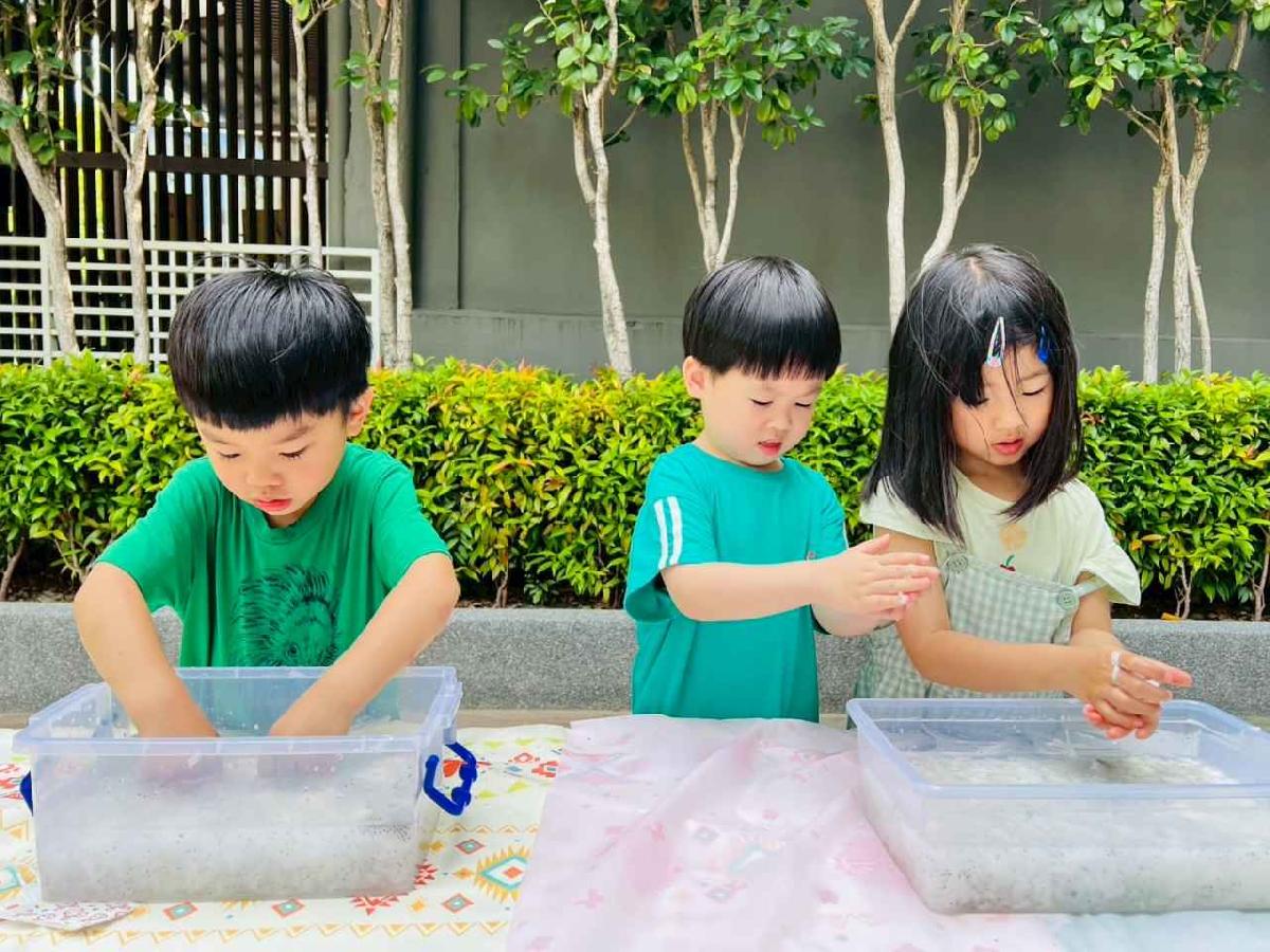 line_album_種植奇亞籽_250423_105 line_album_種植奇亞籽_250423_105