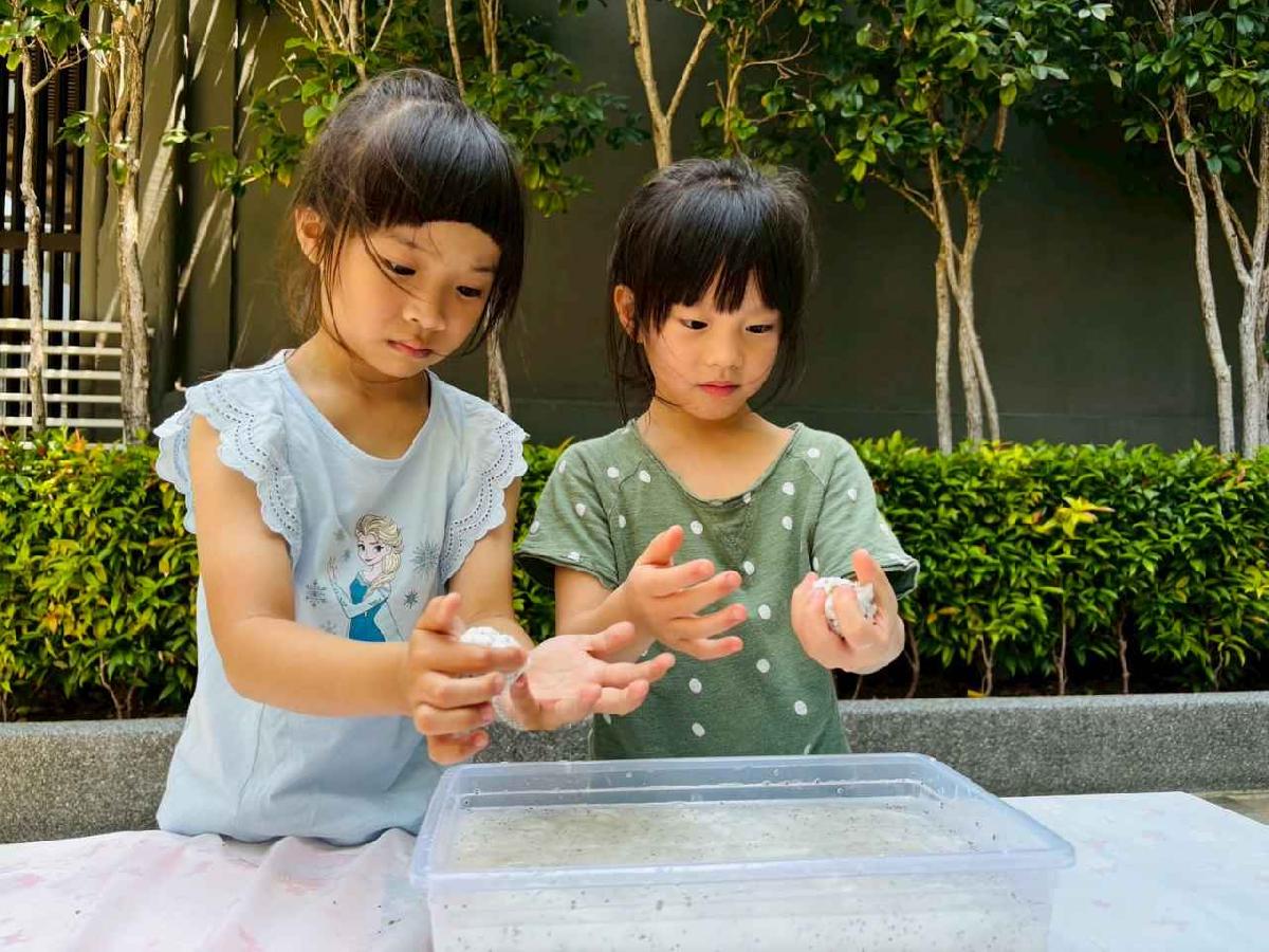 line_album_種植奇亞籽_250423_145 line_album_種植奇亞籽_250423_145