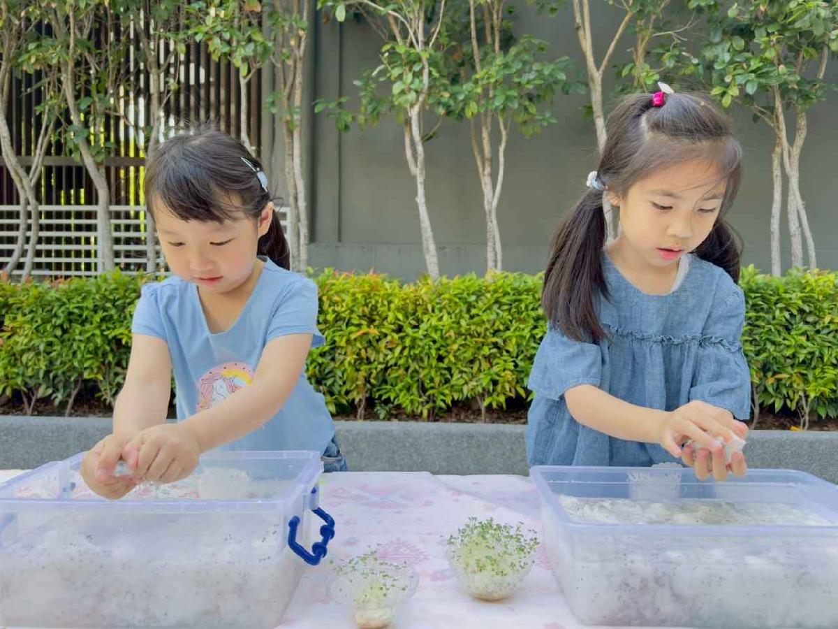 line_album_種植奇亞籽_250423_176 line_album_種植奇亞籽_250423_176