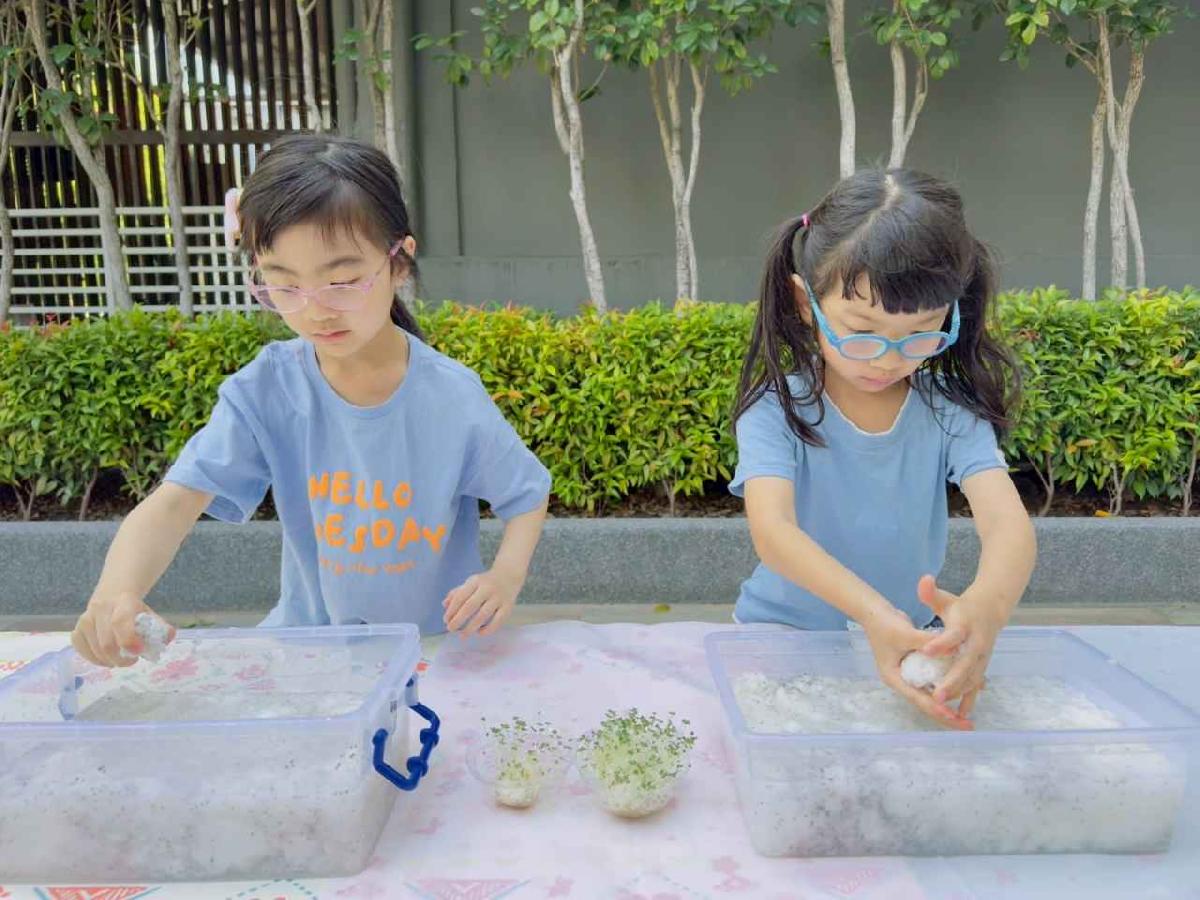 line_album_種植奇亞籽_250423_186 line_album_種植奇亞籽_250423_186