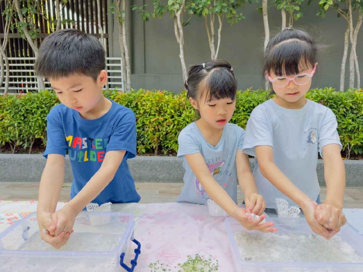 line_album_種植奇亞籽_250423_209 line_album_種植奇亞籽_250423_209