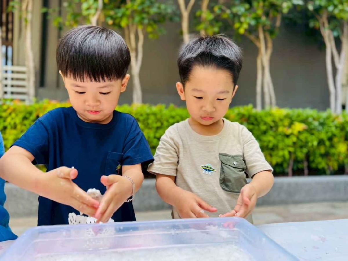 line_album_種植奇亞籽_250423_264 line_album_種植奇亞籽_250423_264