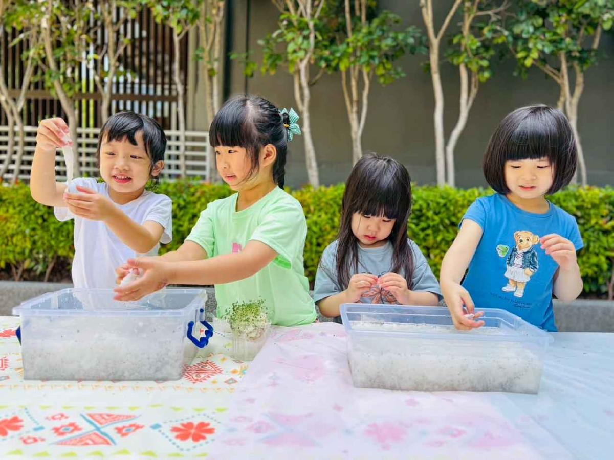 line_album_種植奇亞籽_250423_266 line_album_種植奇亞籽_250423_266