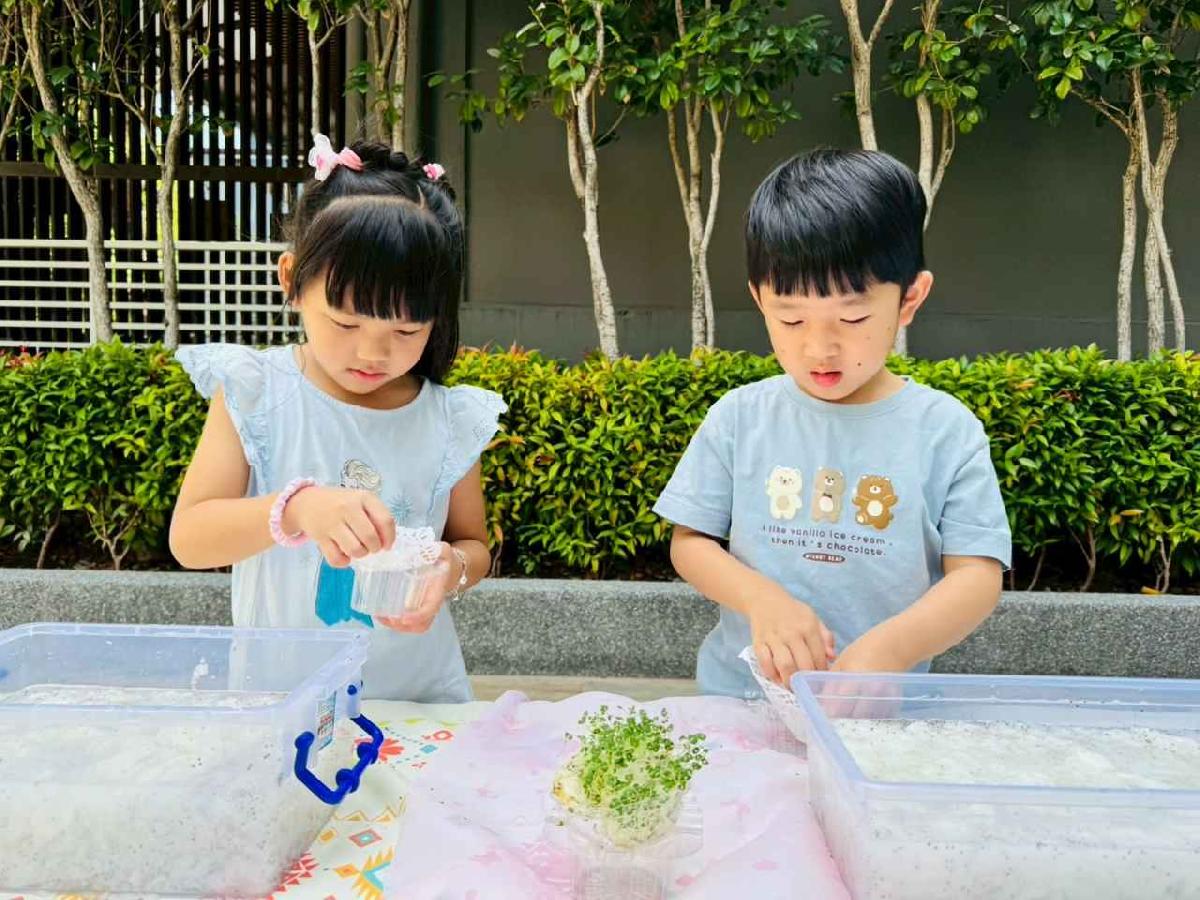 line_album_種植奇亞籽_250423_297 line_album_種植奇亞籽_250423_297
