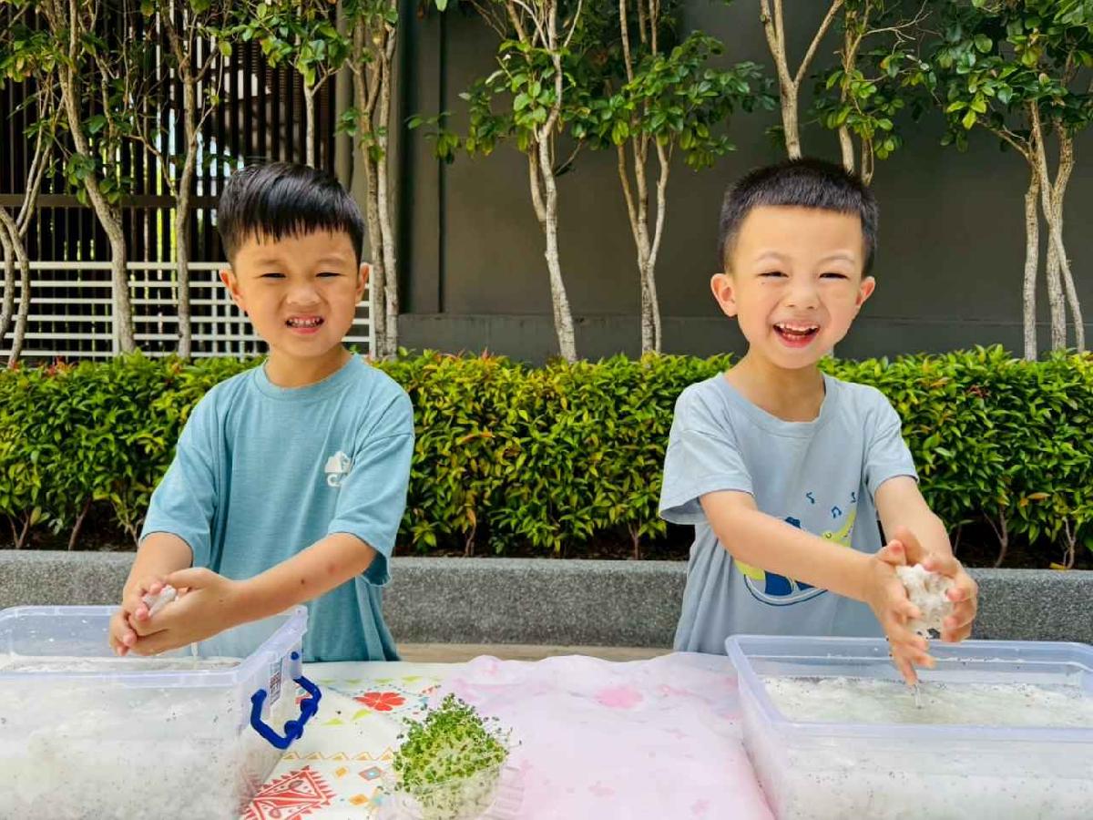 line_album_種植奇亞籽_250423_303 line_album_種植奇亞籽_250423_303