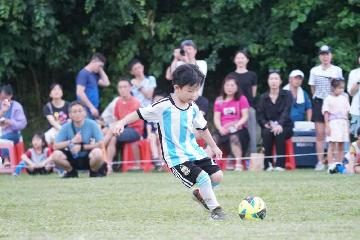 dsc04146 dsc04146