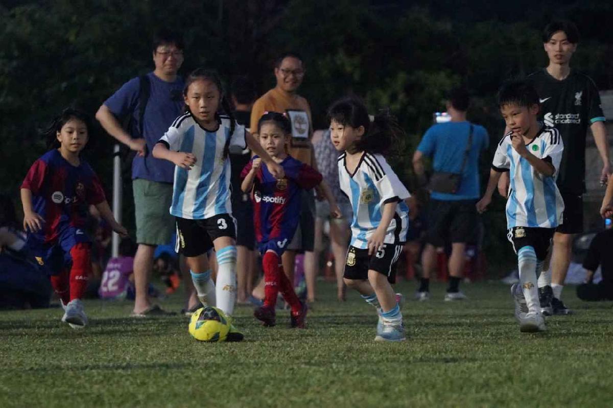 dsc04600 dsc04600
