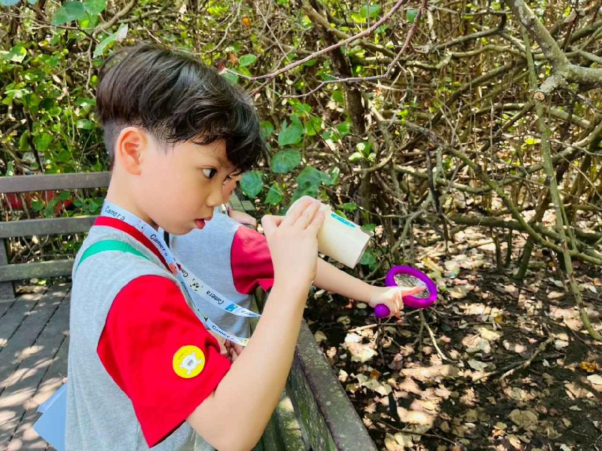 line_album_紅樹林生態教學_251015_301 line_album_紅樹林生態教學_251015_301