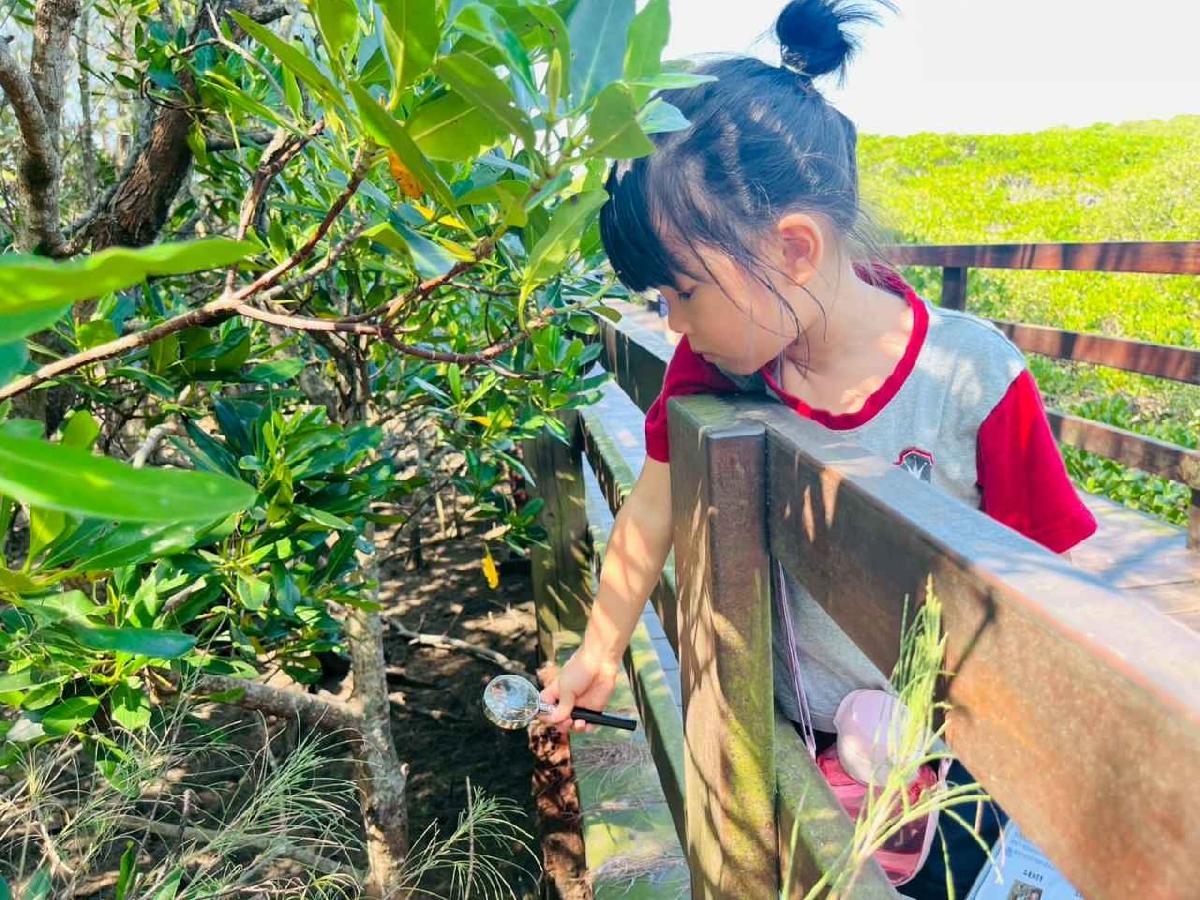 line_album_紅樹林生態教學_251015_310 line_album_紅樹林生態教學_251015_310