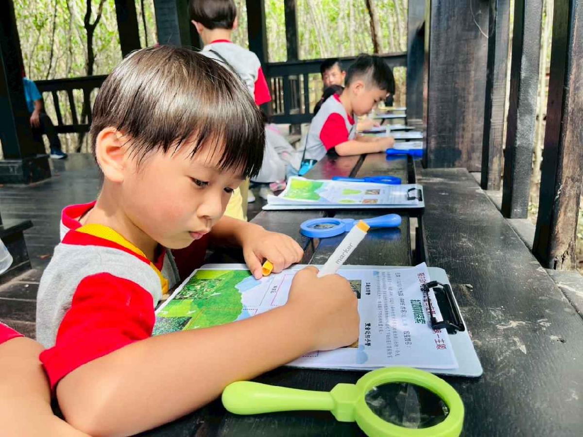 line_album_紅樹林生態教學_251015_251 line_album_紅樹林生態教學_251015_251