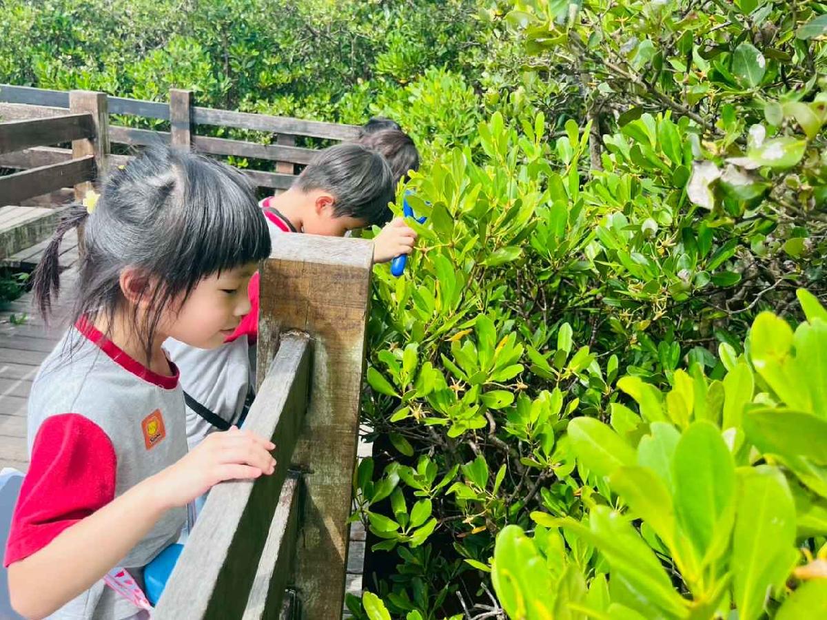 line_album_紅樹林生態教學_251015_252 line_album_紅樹林生態教學_251015_252