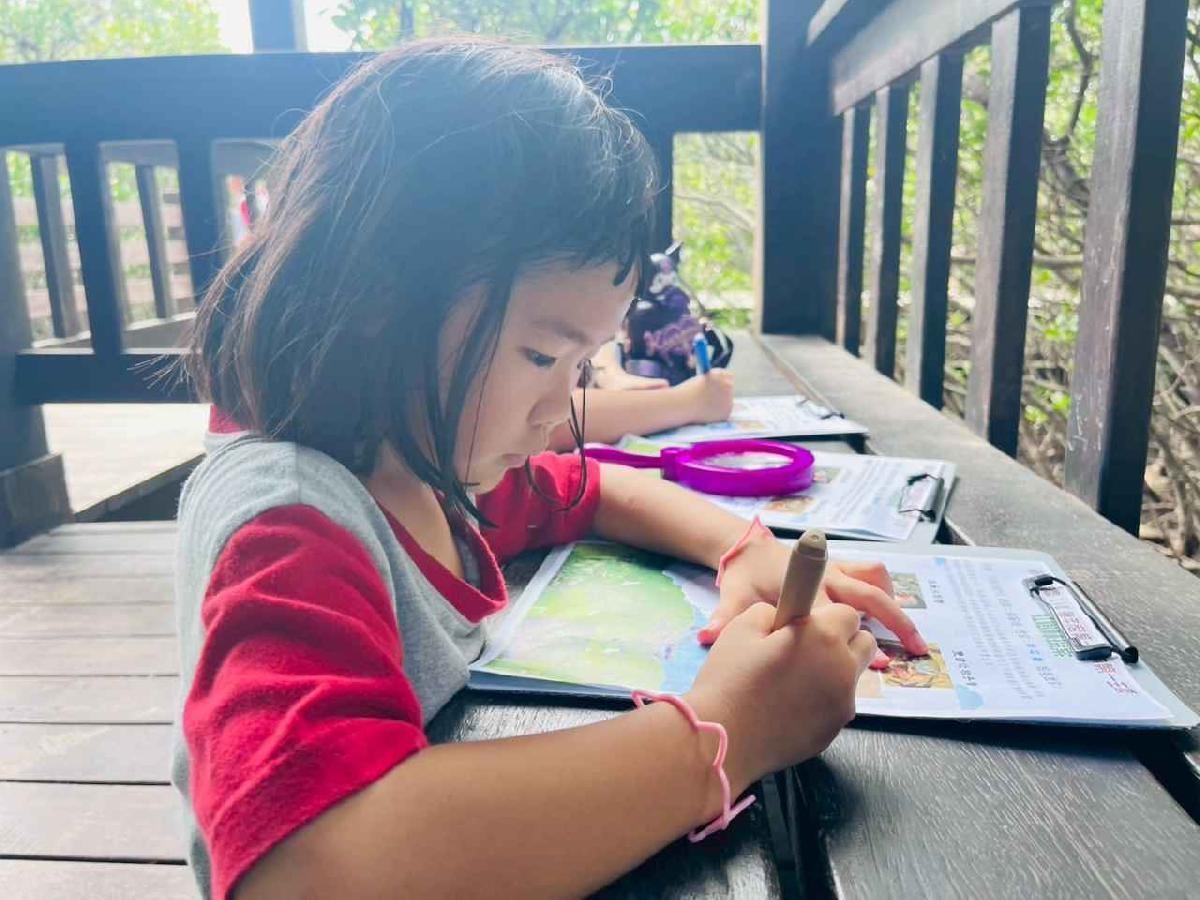 line_album_紅樹林生態教學_251015_244 line_album_紅樹林生態教學_251015_244