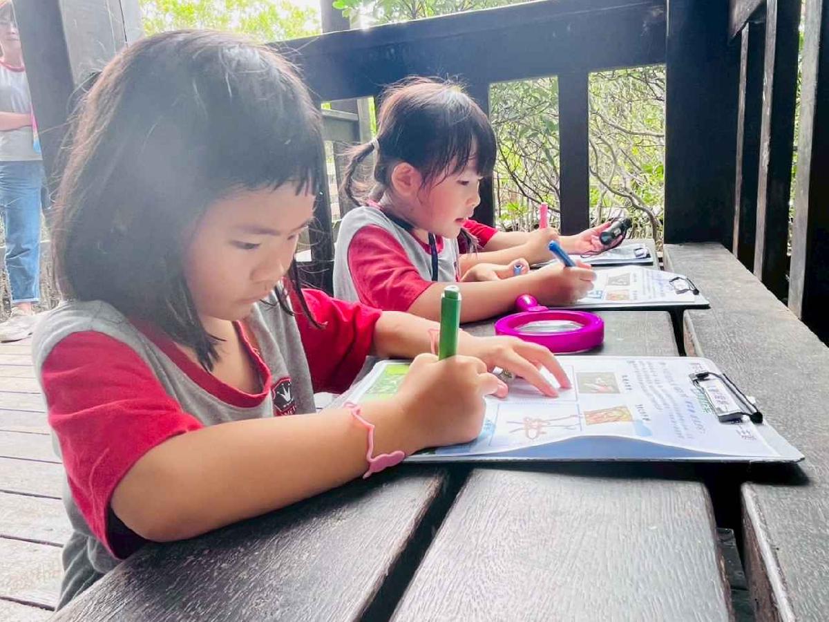 line_album_紅樹林生態教學_251015_228 line_album_紅樹林生態教學_251015_228