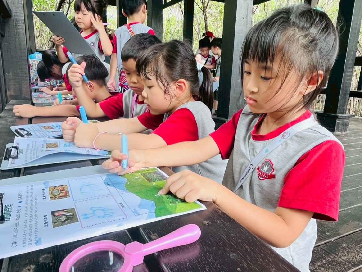 line_album_紅樹林生態教學_251015_230 line_album_紅樹林生態教學_251015_230