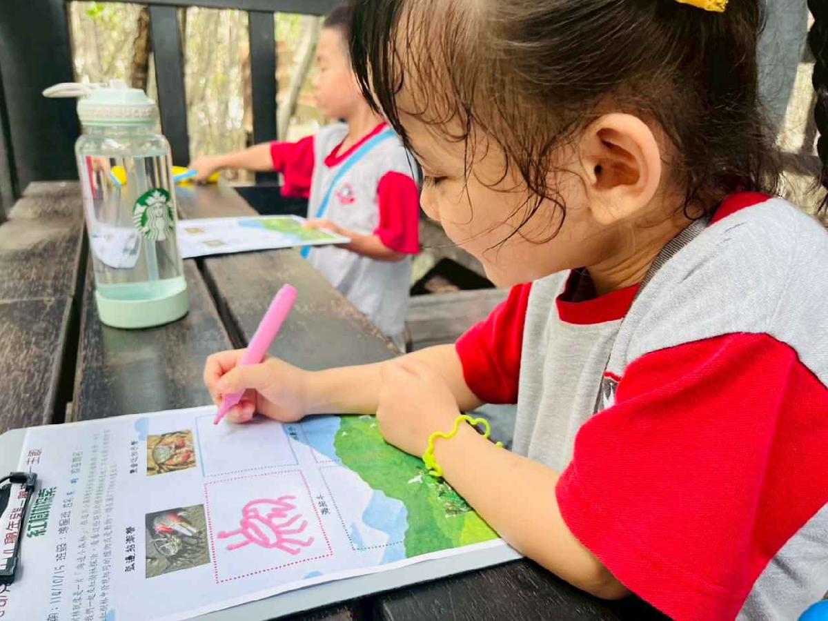 line_album_紅樹林生態教學_251015_231 line_album_紅樹林生態教學_251015_231