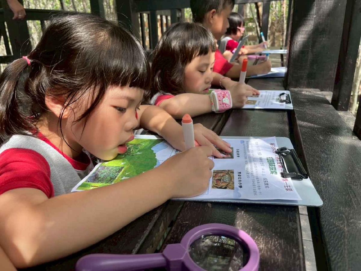 line_album_紅樹林生態教學_251015_236 line_album_紅樹林生態教學_251015_236