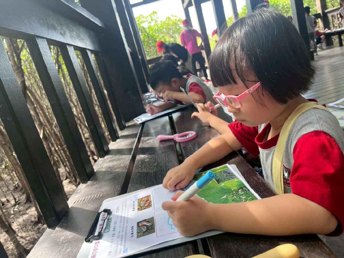 line_album_紅樹林生態教學_251015_239 line_album_紅樹林生態教學_251015_239