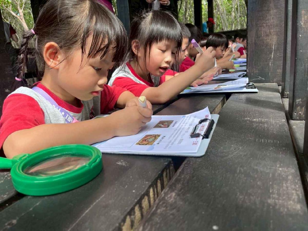 line_album_紅樹林生態教學_251015_242 line_album_紅樹林生態教學_251015_242