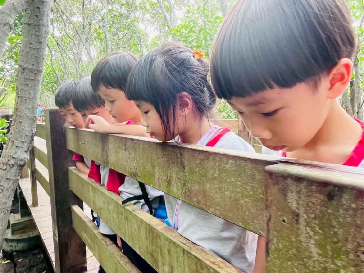 line_album_紅樹林生態教學_251015_205 line_album_紅樹林生態教學_251015_205