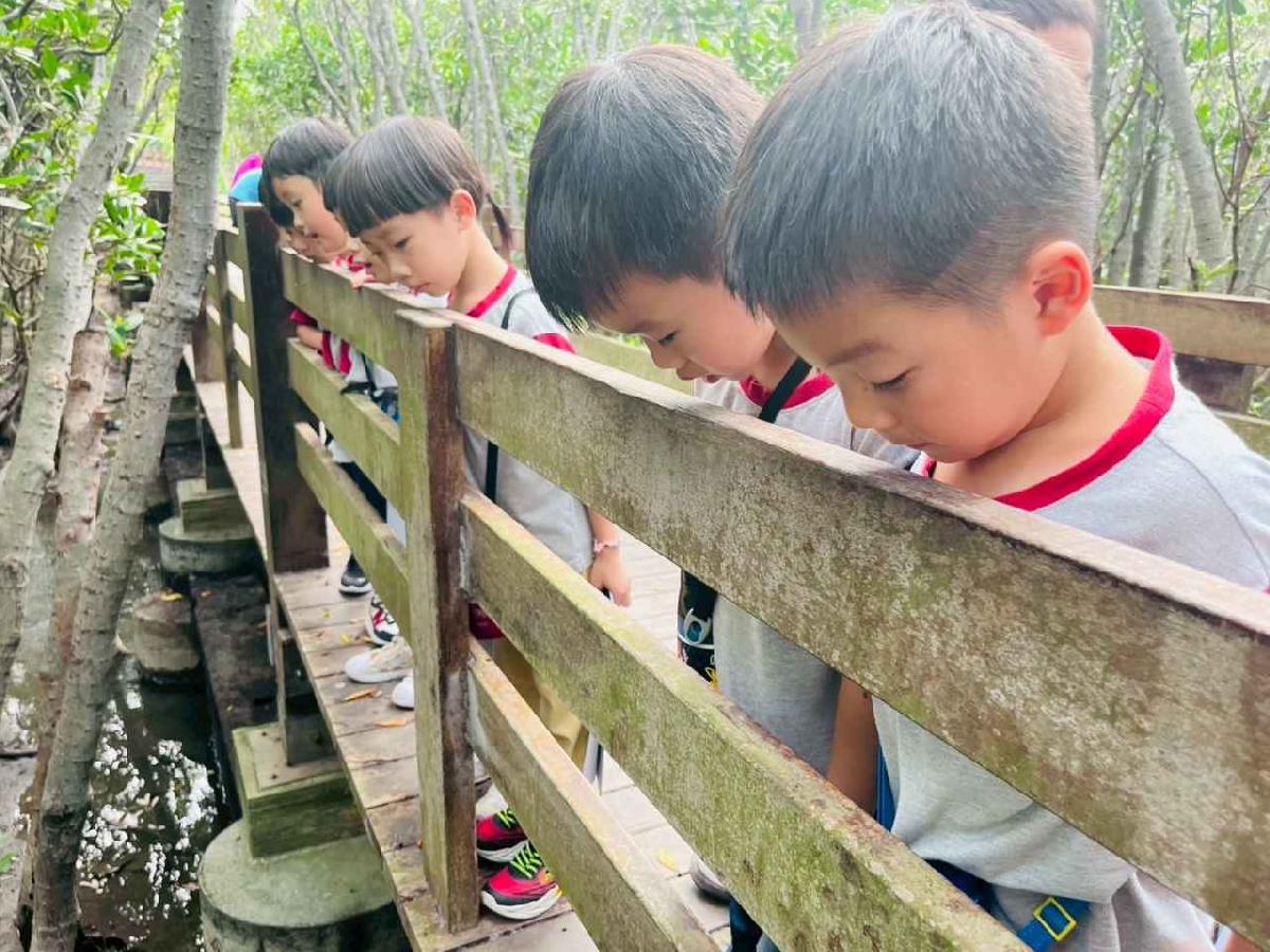 line_album_紅樹林生態教學_251015_206 line_album_紅樹林生態教學_251015_206