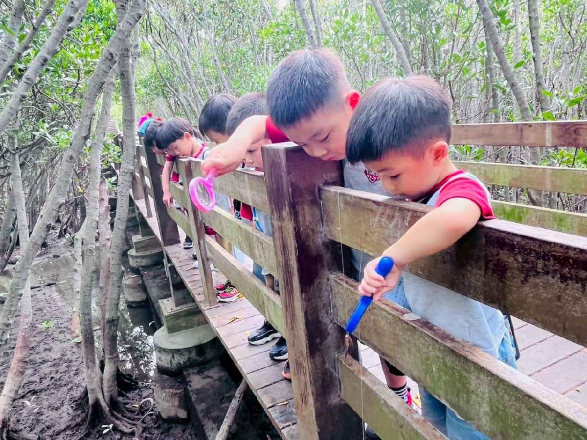 line_album_紅樹林生態教學_251015_208 line_album_紅樹林生態教學_251015_208