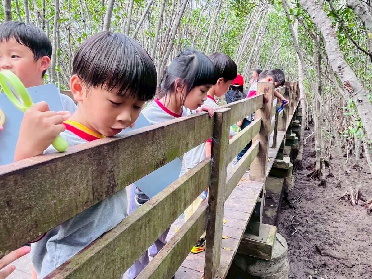 line_album_紅樹林生態教學_251015_212 line_album_紅樹林生態教學_251015_212