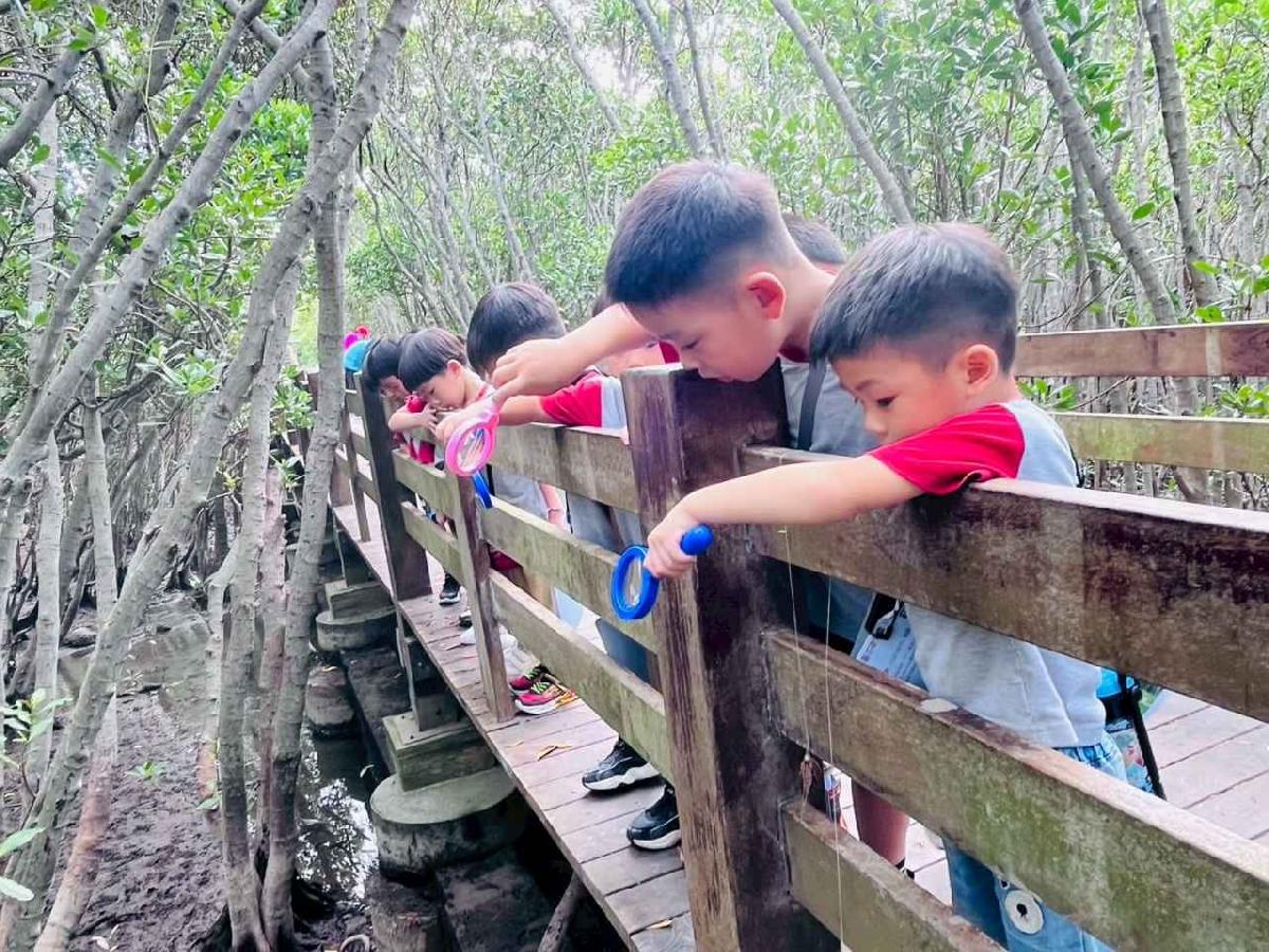 line_album_紅樹林生態教學_251015_213 line_album_紅樹林生態教學_251015_213