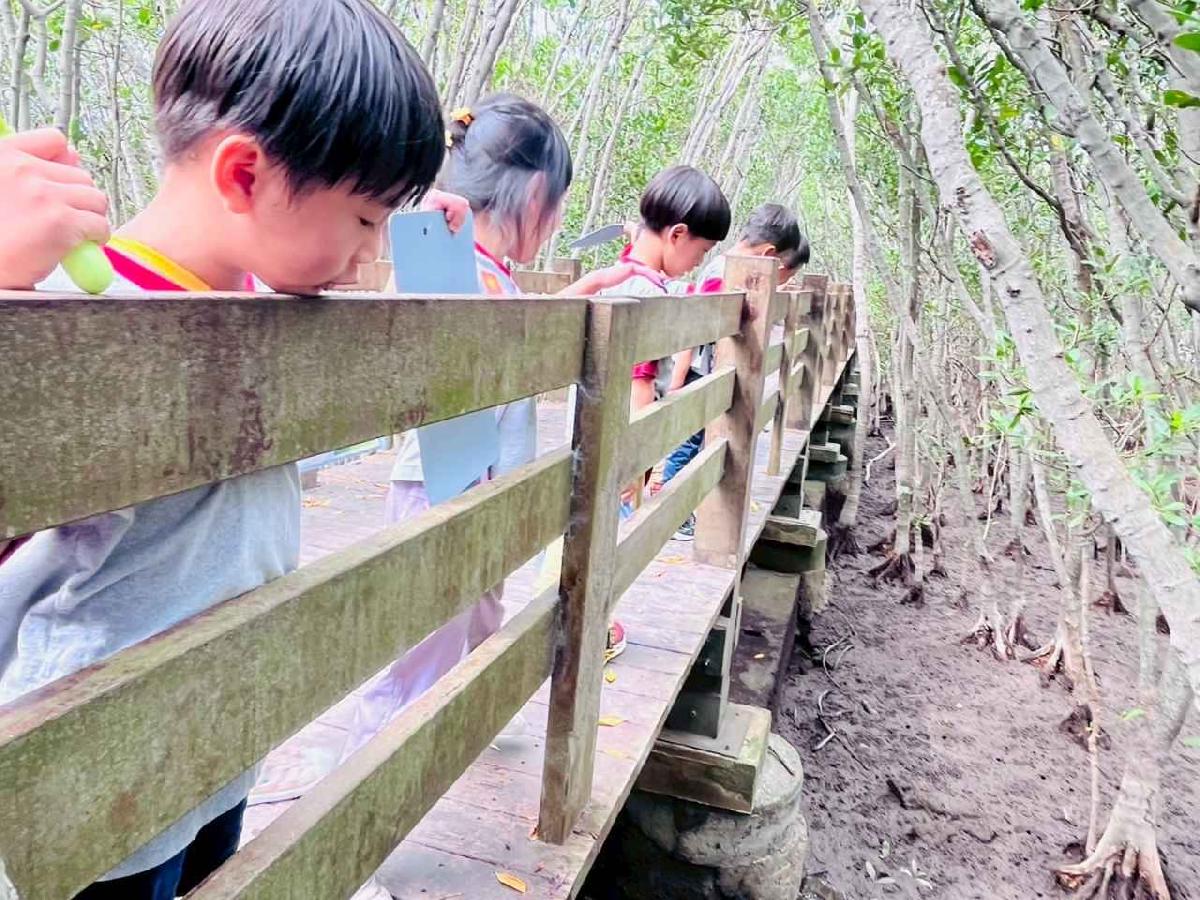 line_album_紅樹林生態教學_251015_214 line_album_紅樹林生態教學_251015_214