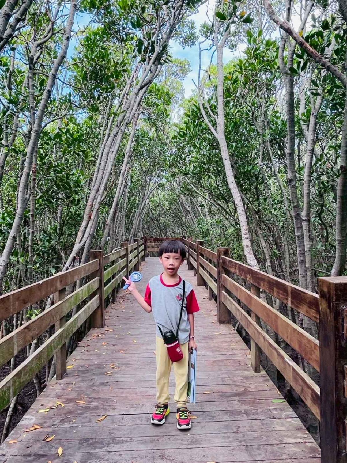 line_album_紅樹林生態教學_251015_218 line_album_紅樹林生態教學_251015_218