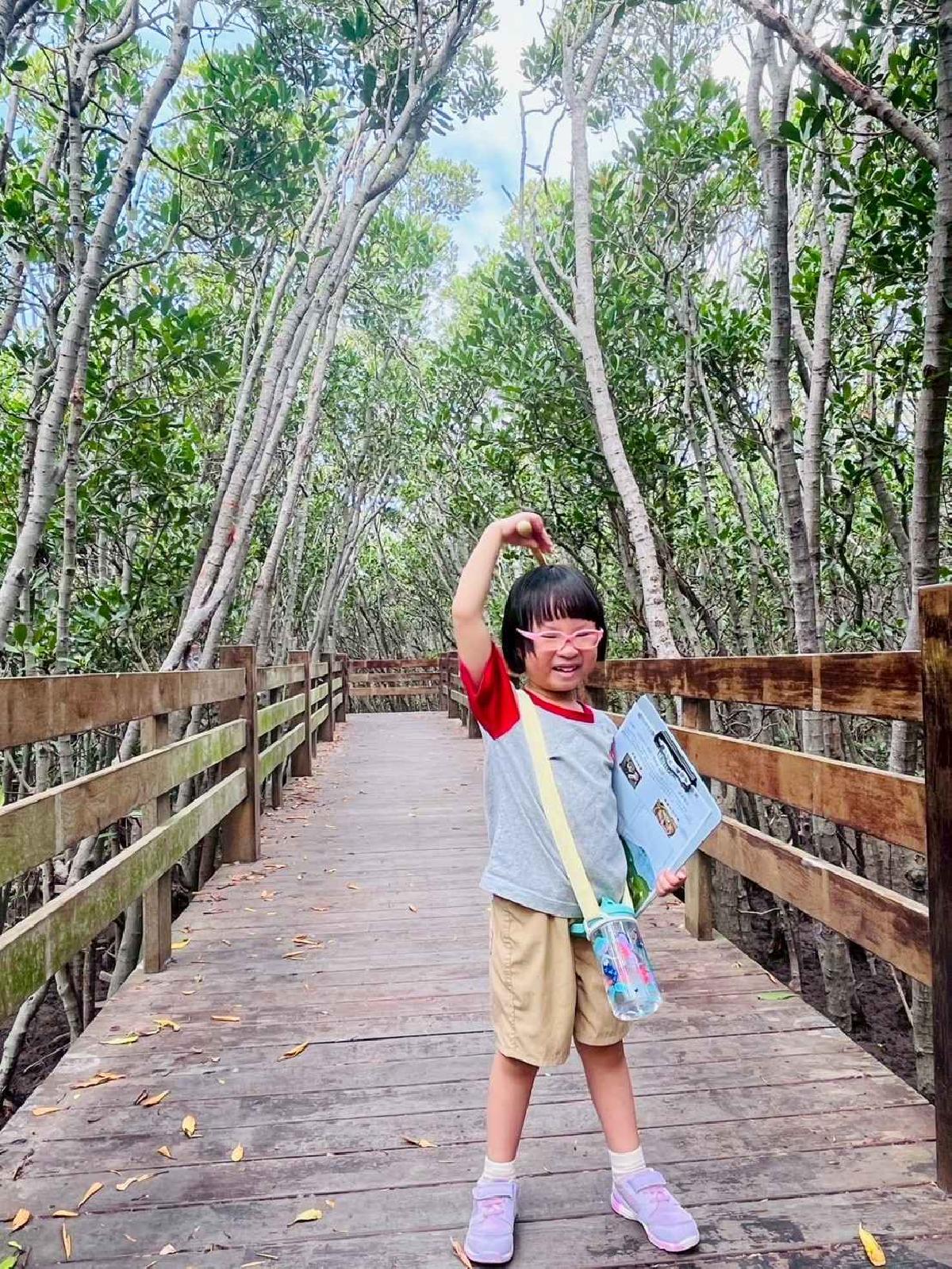 line_album_紅樹林生態教學_251015_223 line_album_紅樹林生態教學_251015_223