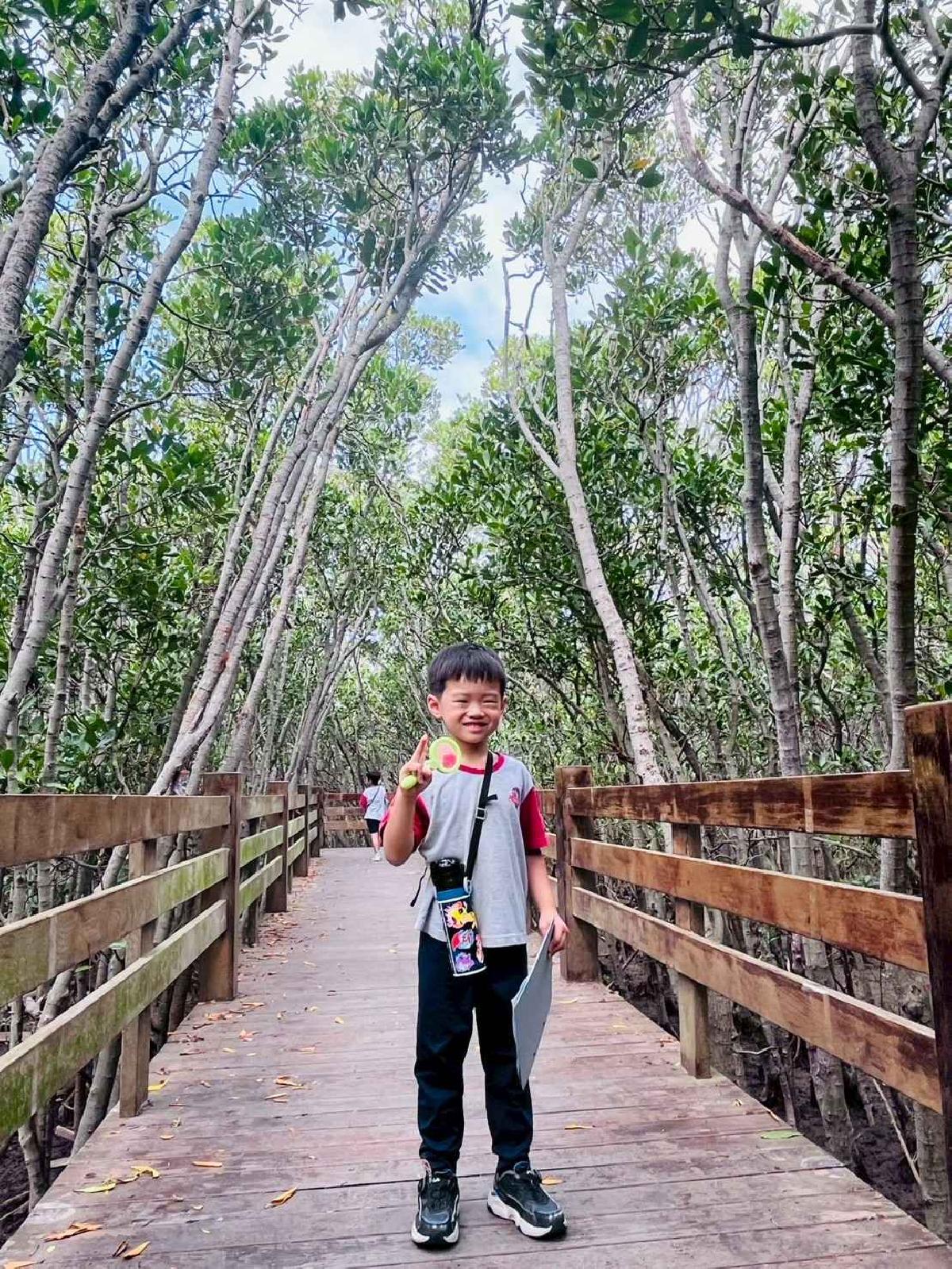 line_album_紅樹林生態教學_251015_224 line_album_紅樹林生態教學_251015_224