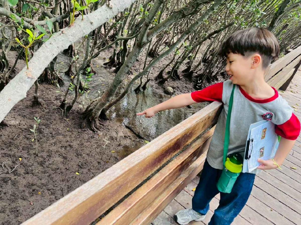 line_album_紅樹林生態教學_251015_188 line_album_紅樹林生態教學_251015_188