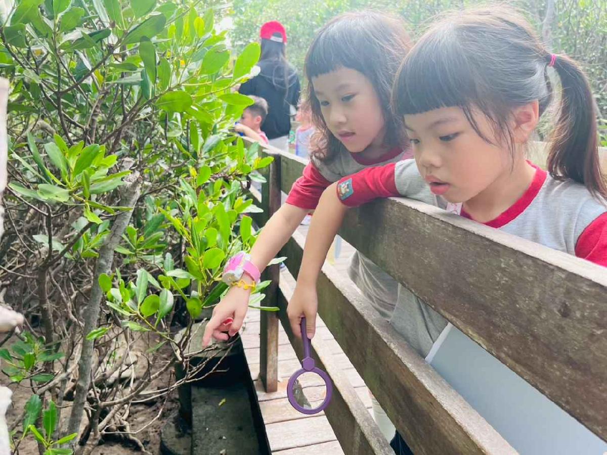 line_album_紅樹林生態教學_251015_191 line_album_紅樹林生態教學_251015_191