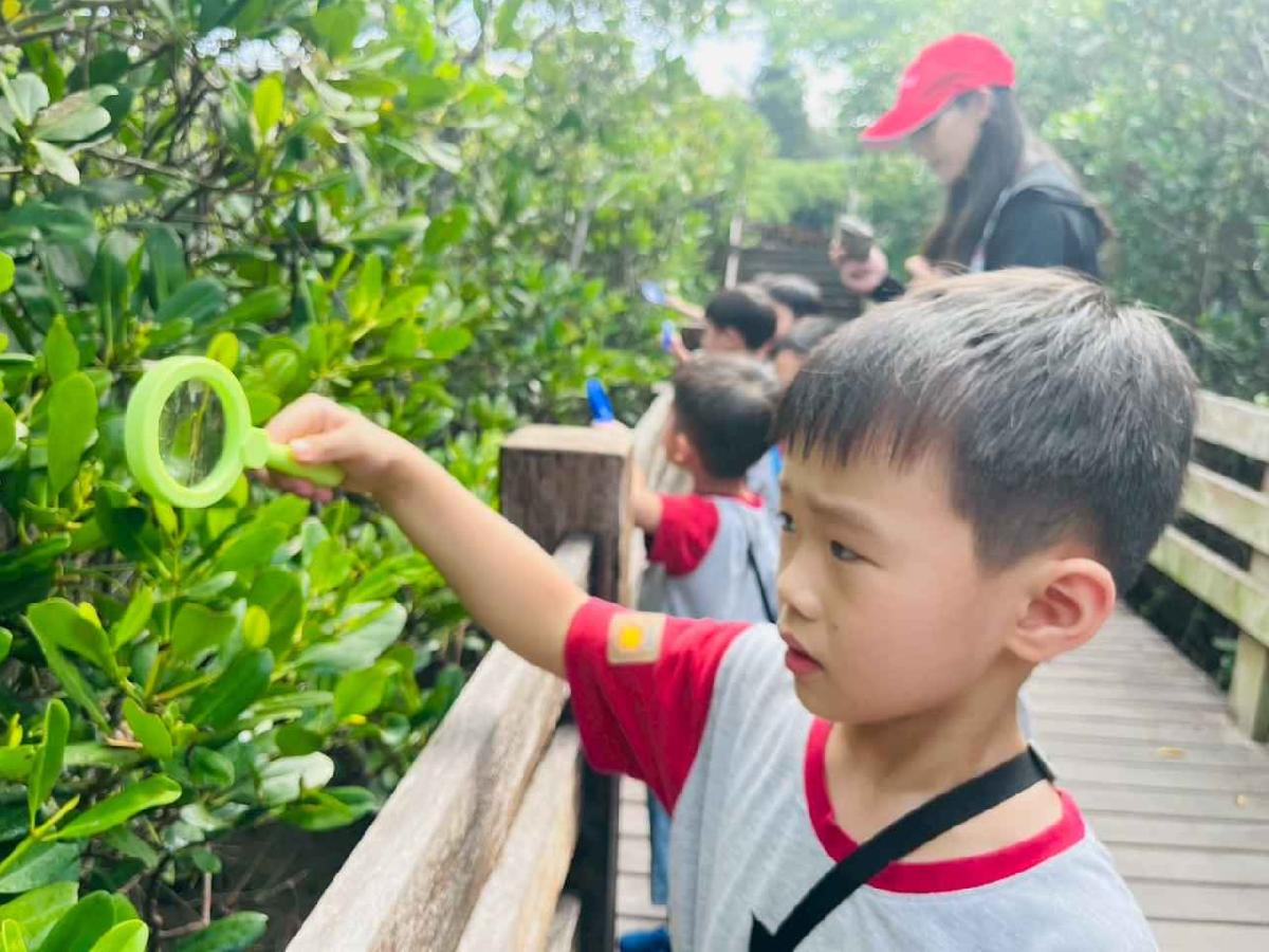 line_album_紅樹林生態教學_251015_197 line_album_紅樹林生態教學_251015_197