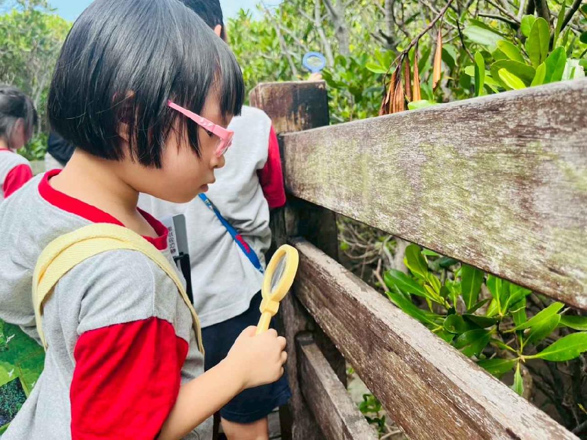 line_album_紅樹林生態教學_251015_199 line_album_紅樹林生態教學_251015_199