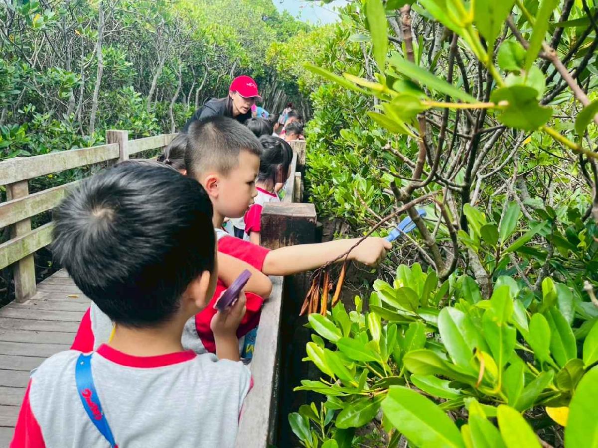 line_album_紅樹林生態教學_251015_200 line_album_紅樹林生態教學_251015_200