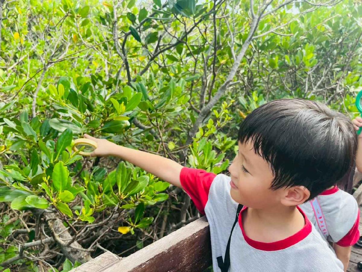 line_album_紅樹林生態教學_251015_201 line_album_紅樹林生態教學_251015_201