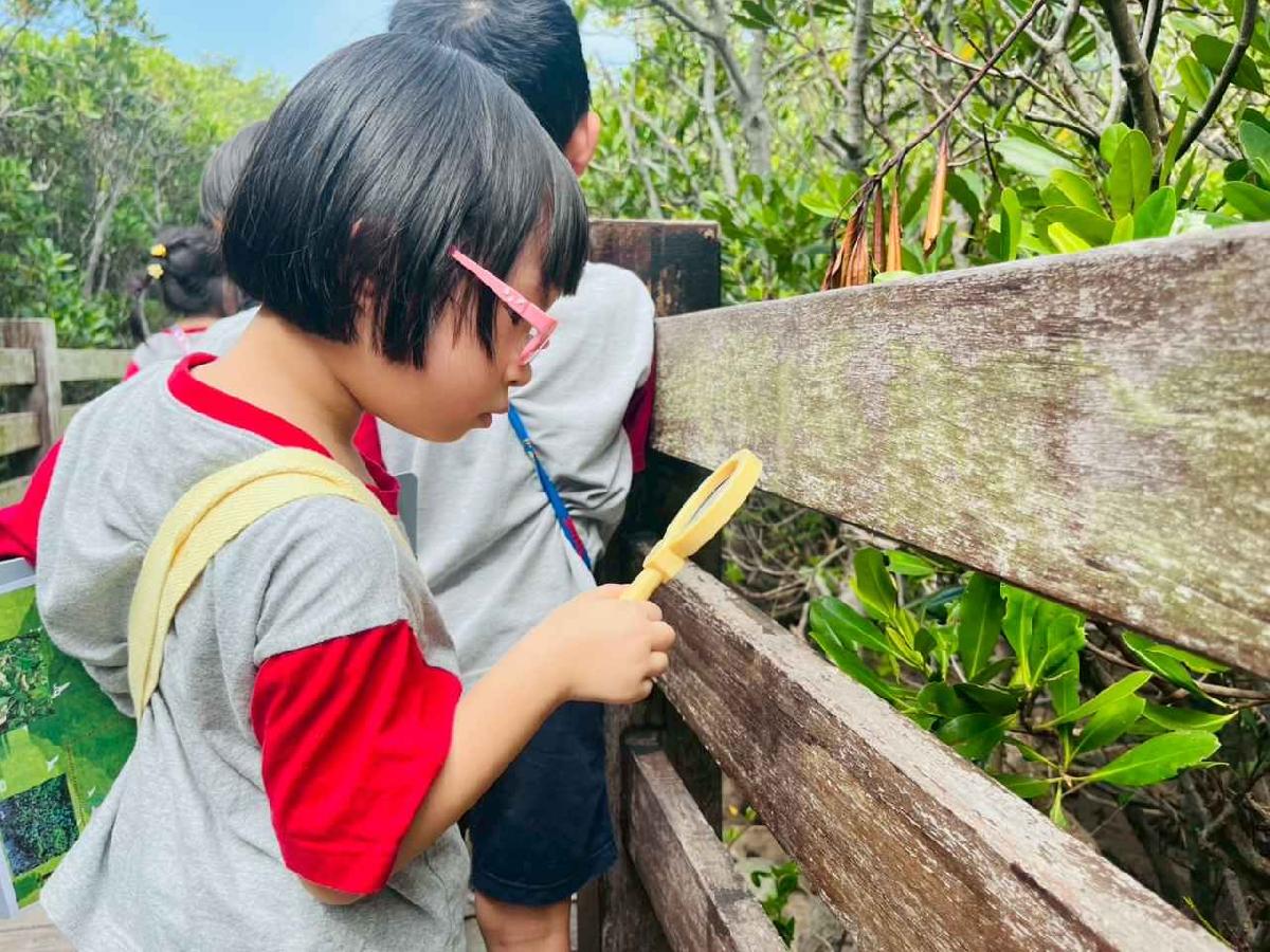 line_album_紅樹林生態教學_251015_202 line_album_紅樹林生態教學_251015_202