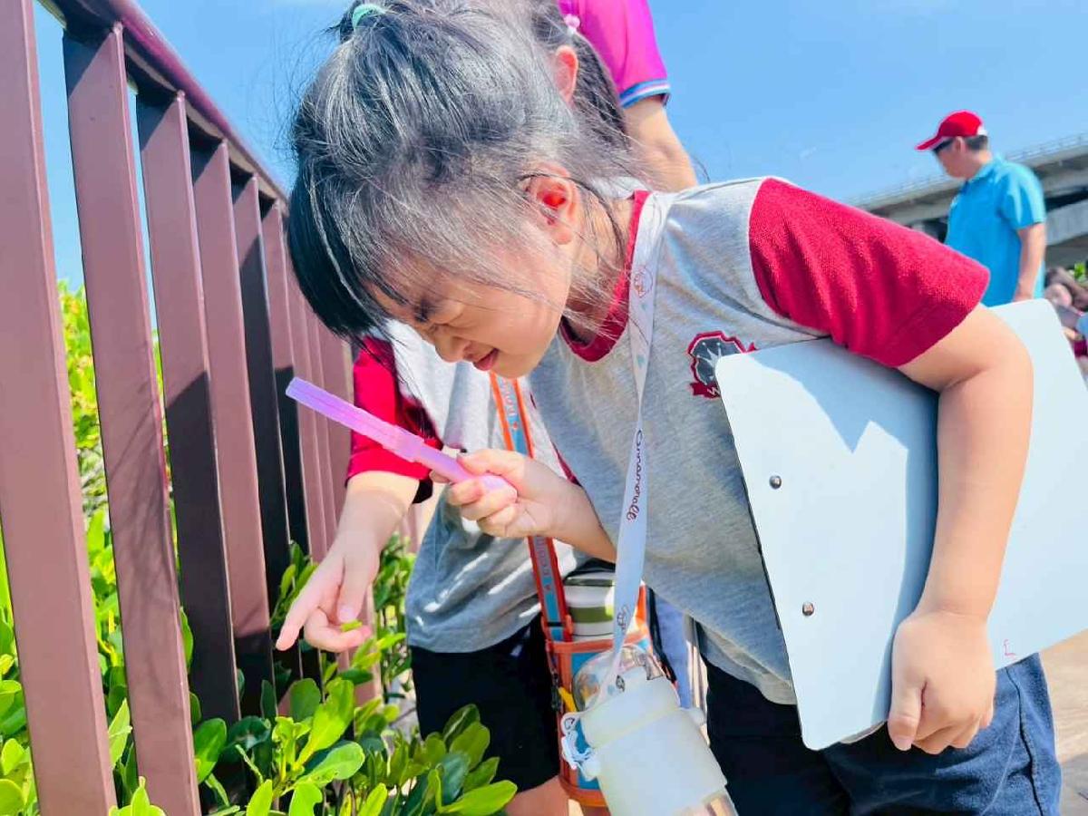 line_album_紅樹林生態教學_251015_136 line_album_紅樹林生態教學_251015_136